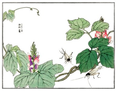 Leaf and flower illustration from Churui Gafu (1910) by Morimoto Toko. Digitally enhanced from our own original edition.