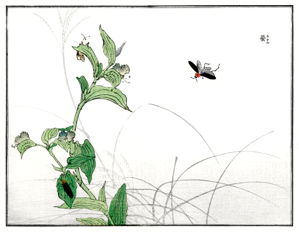 Fireflies illustration from Churui Gafu (1910) by Morimoto Toko. Digitally enhanced from our own original edition.