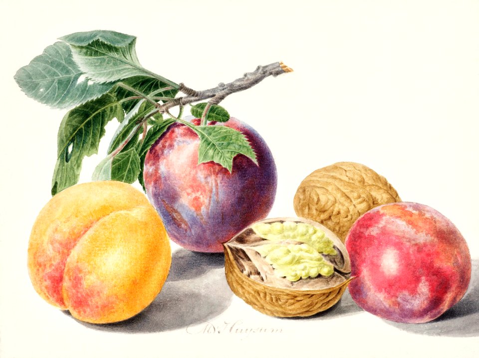Fruits by Michiel van Huysum (1714-1760).
