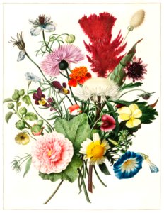 Bouquet of Flowers by an anonymous artist (1680).. Free illustration for personal and commercial use.