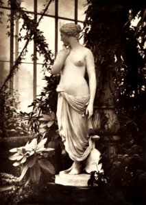 Ancient Geek nude, Sculpture of Venus surrounded by plants (ca. 1880–1899). Original from The Getty. Digitally enhanced by rawpixel.. Free illustration for personal and commercial use.