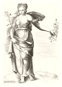 Speculum Romanae Magnificentiae: Flora by Anonymous. Original from The MET museum. Digitally enhanced by rawpixel.