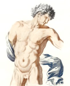 Naked man posing sexually. Torso van een naakte man met gewaad over een arm (1688 - 1698) by anonymous. Original from The Rijksmuseum. Digitally enhanced by rawpixel.. Free illustration for personal and commercial use.