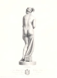 Venus, back view. from "Oeuvre de Canova: Recueil de Statues ..." (1817) by Domenico Marchetti. Original from The MET museum. Digitally enhanced by rawpixel.. Free illustration for personal and commercial use.