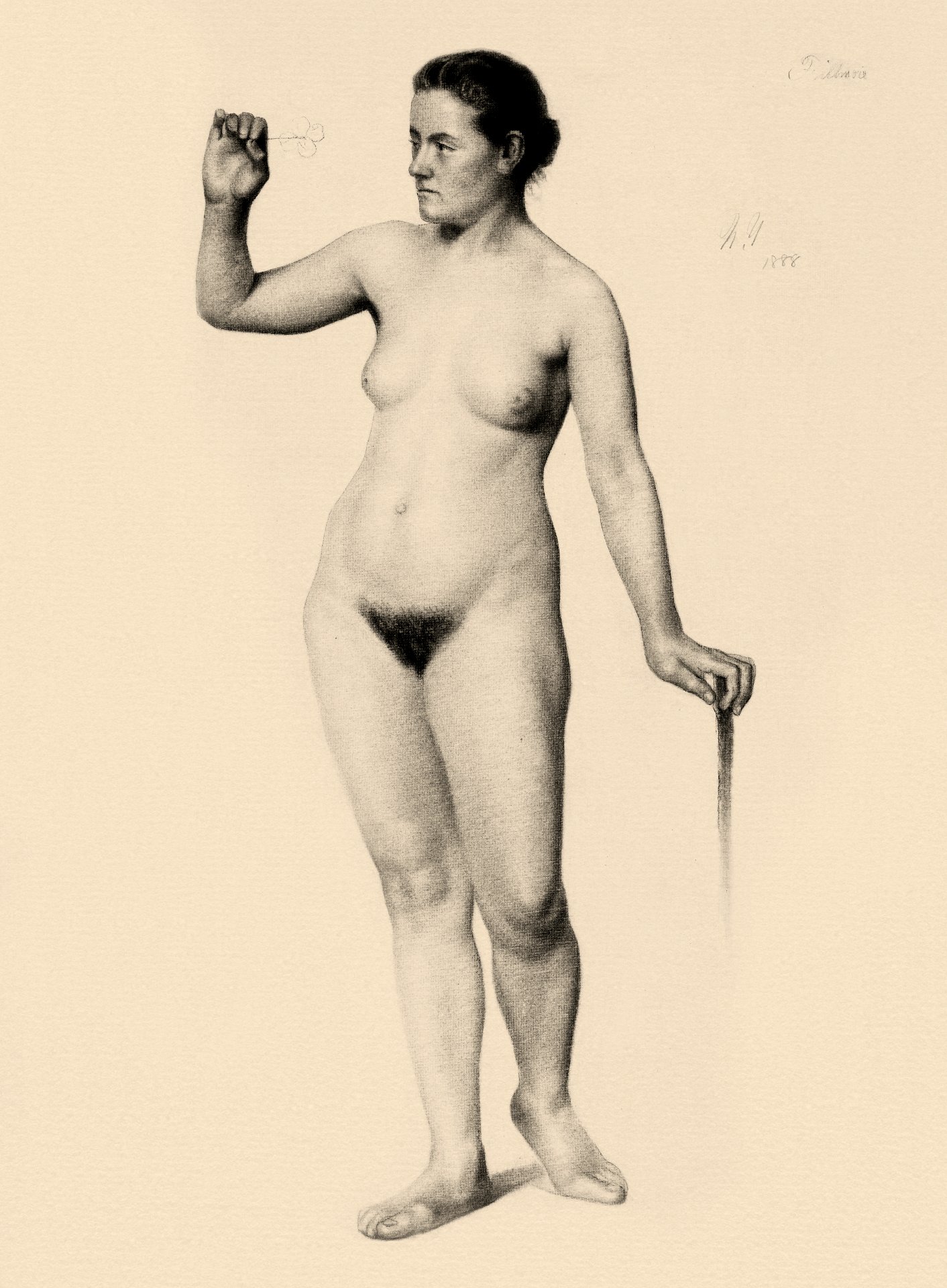 Naked woman. Female Nude Holding a Clove (1888) by Edwin Wallace Fillmore.  Original from The Yale University Art Gallery. Digitally enhanced by  rawpixel. - Traditional visual art under Public domain license