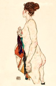 Standing Nude woman with a Patterned Robe (1917) by Egon Schiele. Original female line art drawing female painting from The MET museum. Digitally enhanced by rawpixel.
