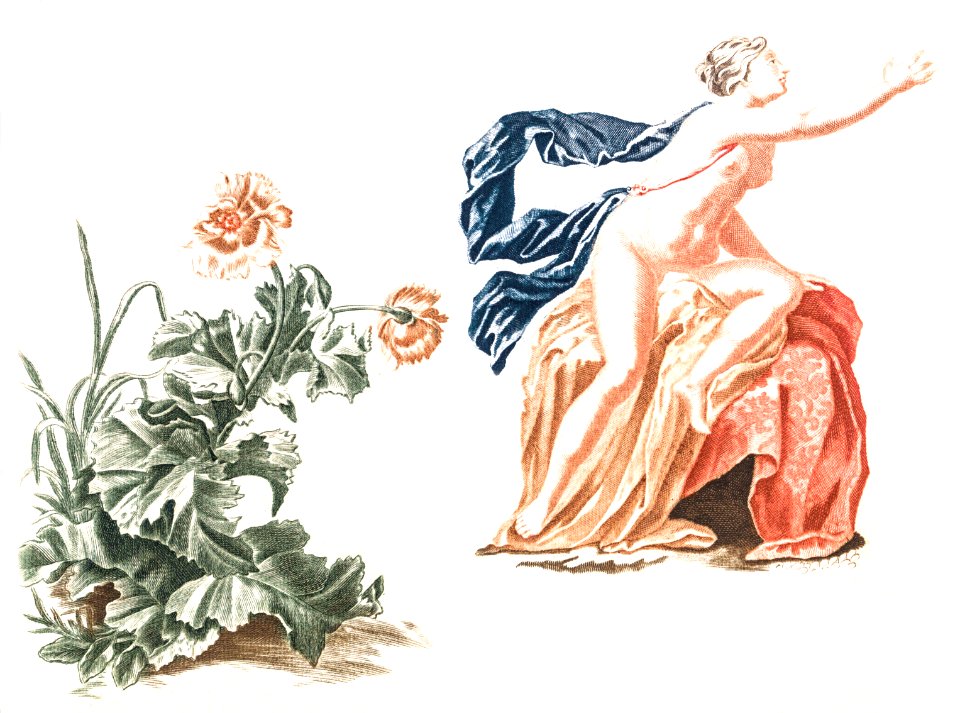 Poppies and a naked woman by Johan Teyler (1648-1709).
