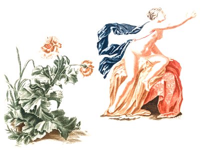 Poppies and a naked woman by Johan Teyler (1648-1709).. Free illustration for personal and commercial use.