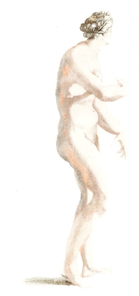 Statue of Venus de 'Medici (1688-1698) by Johan Teyler (1648-1709).