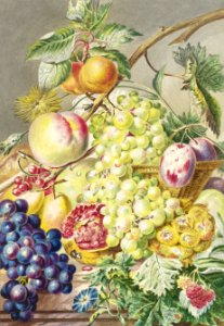 Fruitstuk (1777) by Cornelis Ploos van Amstel.. Free illustration for personal and commercial use.