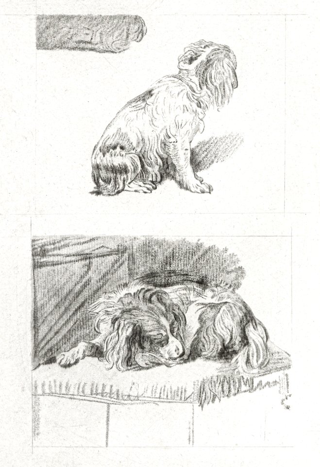 Sitting and lying dog (1777) by Cornelis Ploos van Amstel.