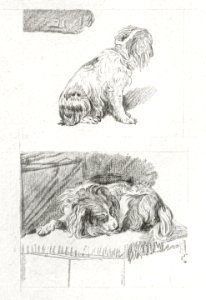Sitting and lying dog (1777) by Cornelis Ploos van Amstel.