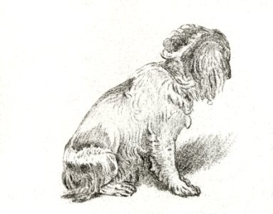 Sitting dog (1777) by Cornelis Ploos van Amstel.