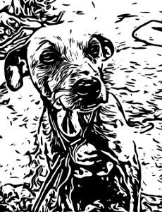 Dog Like Mammal White Black Black And White. Free illustration for personal and commercial use.