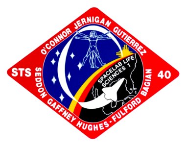 STS-40. Free illustration for personal and commercial use.