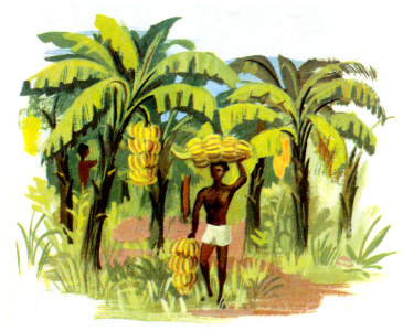 banane