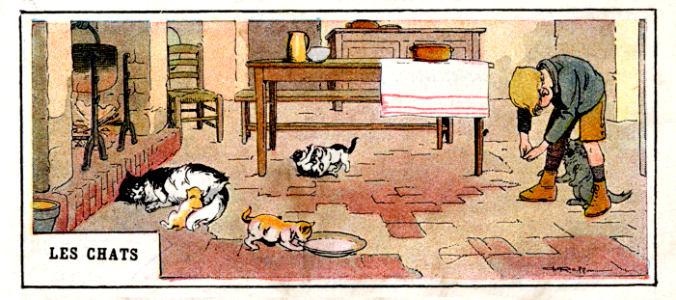les chats