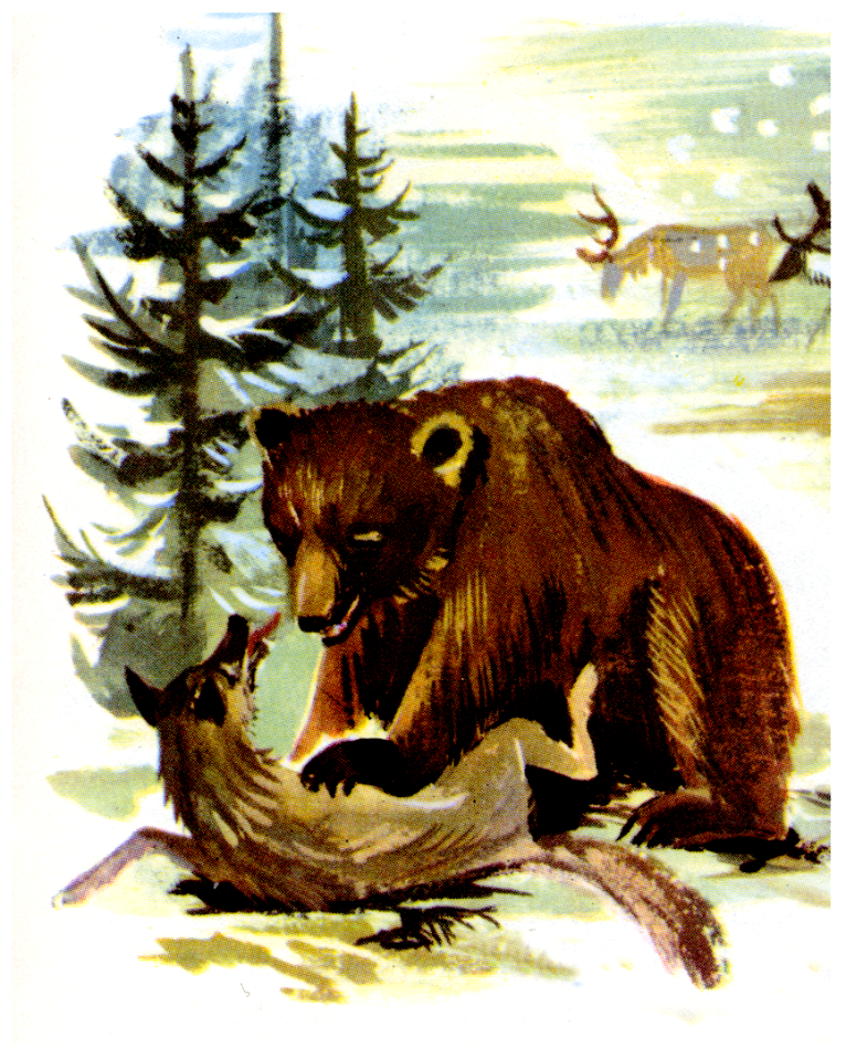 ours et loup