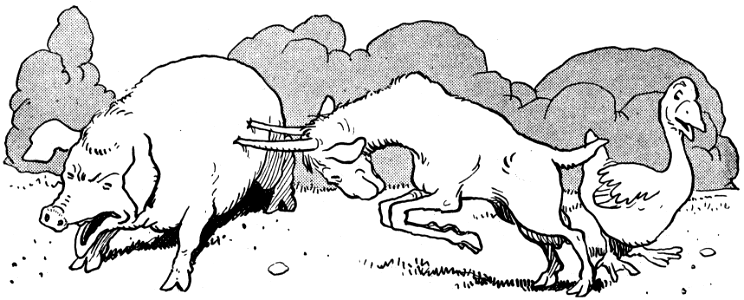 contes de la chèvre noire-35