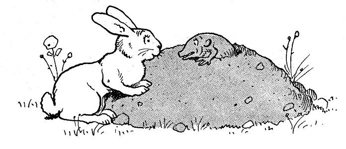 contes de la chèvre noire-12