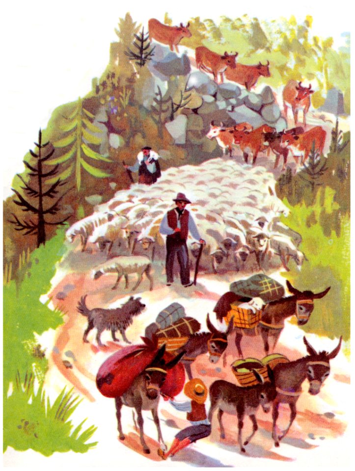 transhumance