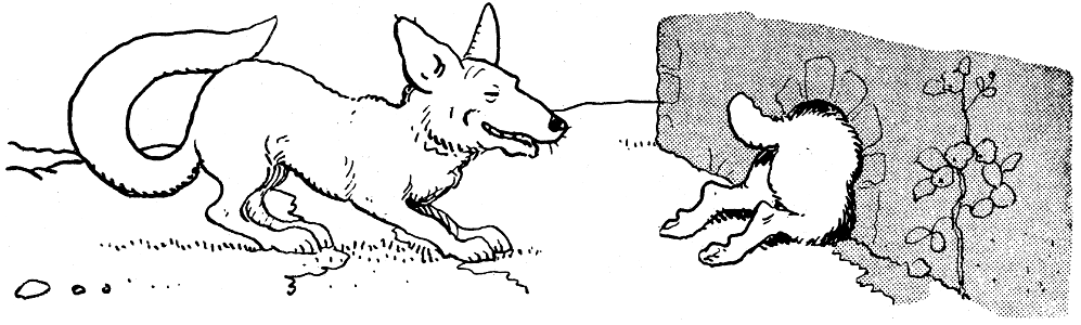 contes de la chèvre noire-11