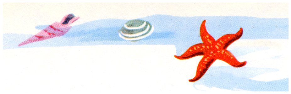 fruits de mer