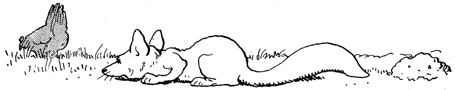 contes de la chèvre noire-16