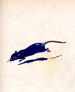 souris-1