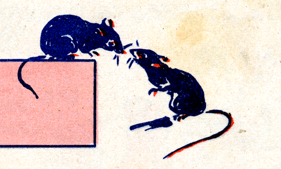 souris-2