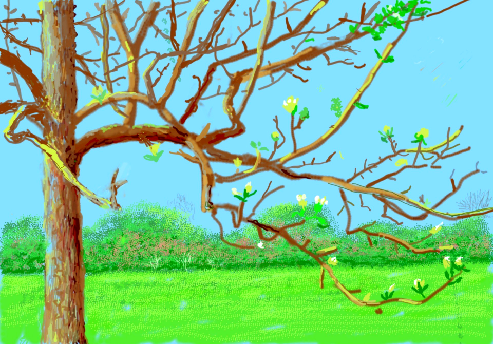 David Hockney 7