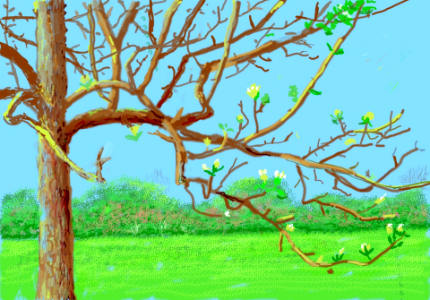 David Hockney 7