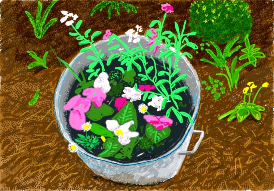 David Hockney 9