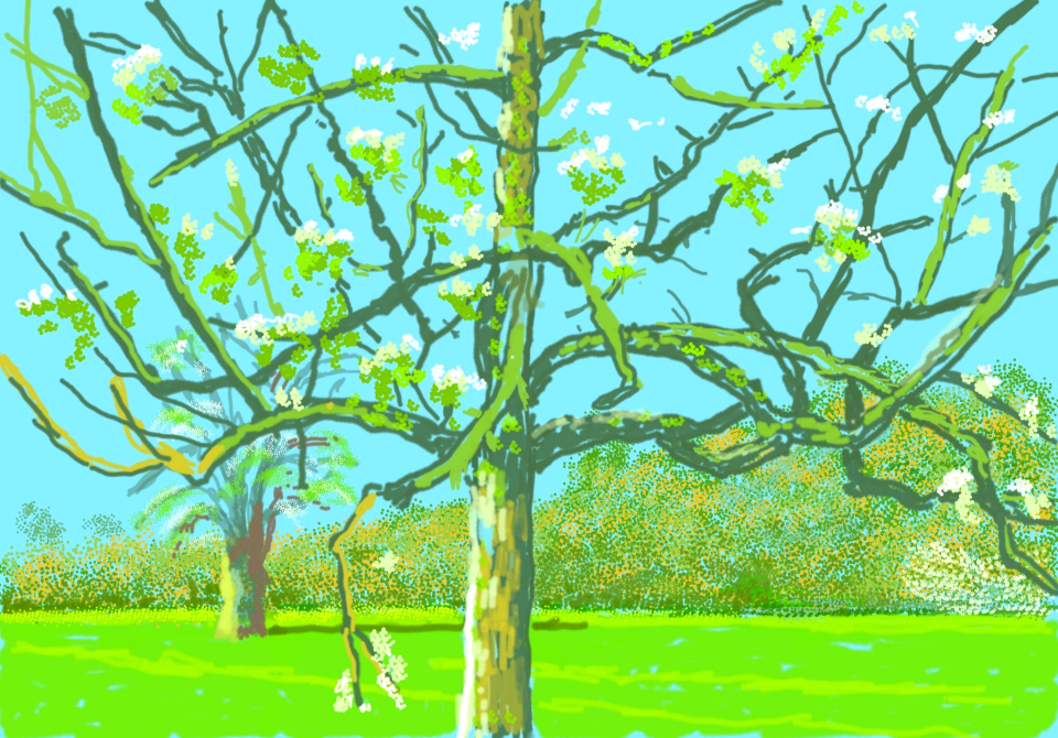 David Hockney 8