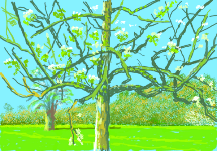 David Hockney 8