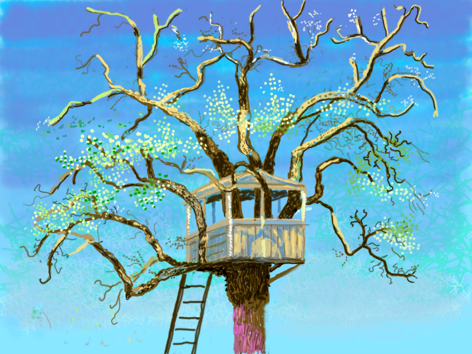 David Hockney 1