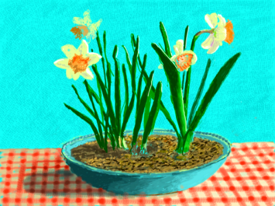 David Hockney 3