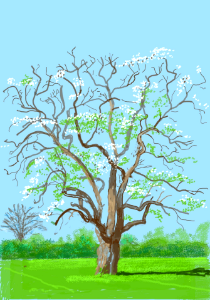 David Hockney 6