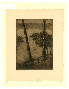 [87.2.19] Lesser Ury, Small Group of Birch Trees (1919)