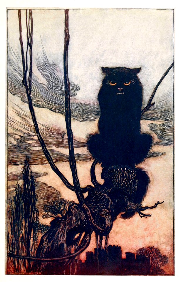 RACKHAM Arthur (1867-1939).  🇬🇧  Black Cat, Hansel & Gretel, 1920.