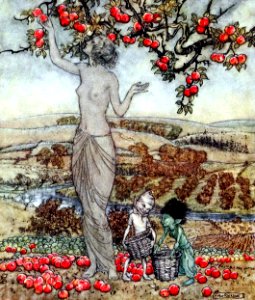 RACKHAM Arthur (1867-1939).  🇬🇧 Illustration for the book, "A Dish of Apples".