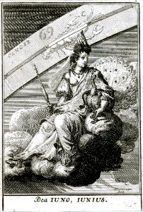 HARREWIJN, Jacobus.  June-Iuno-Iunius, 1698.