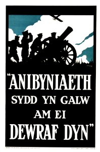 Anibyniaeth sydd yn galw am ei dewraf dyn, 1916.