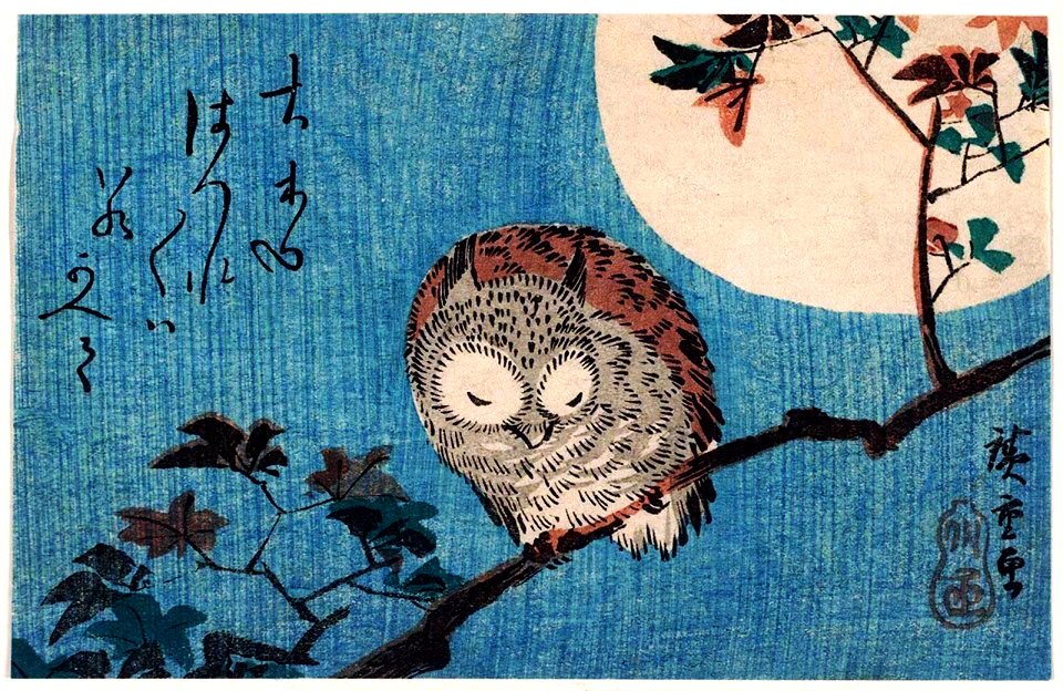 HIROSHIGE, Utagawa (1797-1858). 🇯🇵  Small Horned Owl on a Maple Branch under the Full Moon.