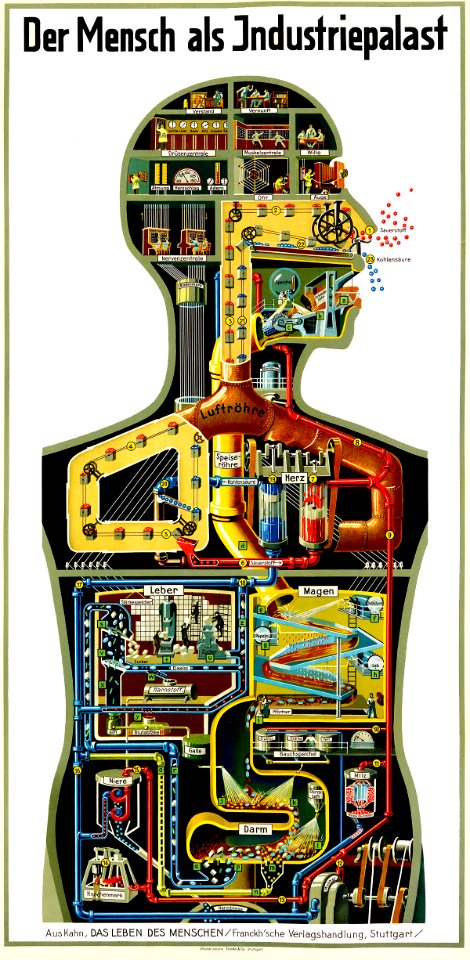 KAHN, Fritz (1888-1968).  Der Mensch als Industriepalast, 1926.