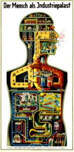 KAHN, Fritz (1888-1968).  Der Mensch als Industriepalast, 1926.