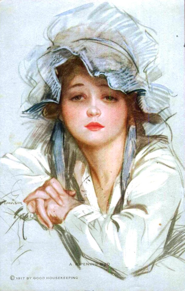 FISHER, Harrison (1875-1934). 🇺🇸  "Ripening Bud", 1917.