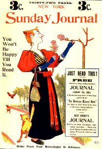 BRILL, George Reiter (1867-1918).  New York Sunday Journal, "You won't be happy till you read it", 1896.