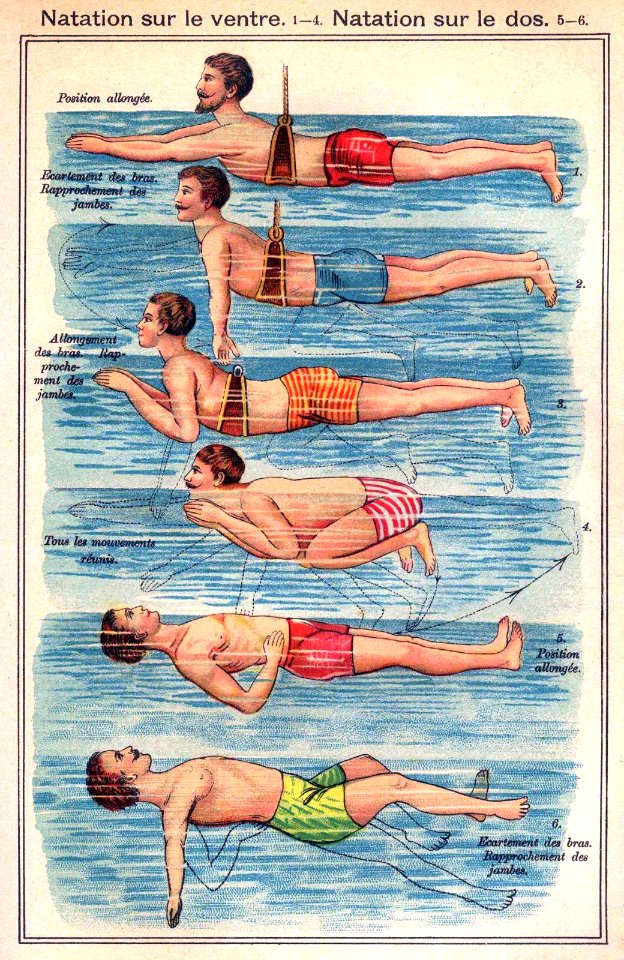 Natation sur le ventre / Natation sur le dos, c. 1890s.