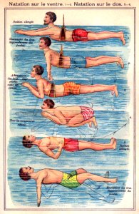 Natation sur le ventre / Natation sur le dos, c. 1890s.. Free illustration for personal and commercial use.
